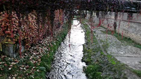 Creek-flowing-in-a-European-city-at-autumn