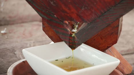 Close-Up-of-aloe-vera-yellow-sap-dripping-into-a-bowl