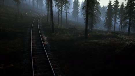 national forest recreation area and the fog with railway