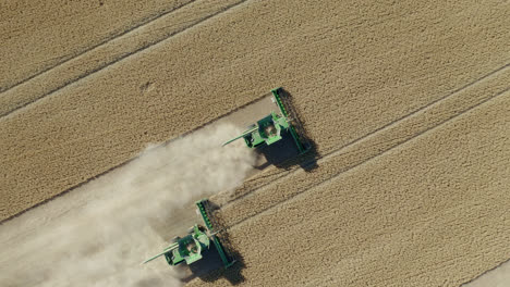 aerial top down, two combine harvesters harvesting pulse crops from a farm field