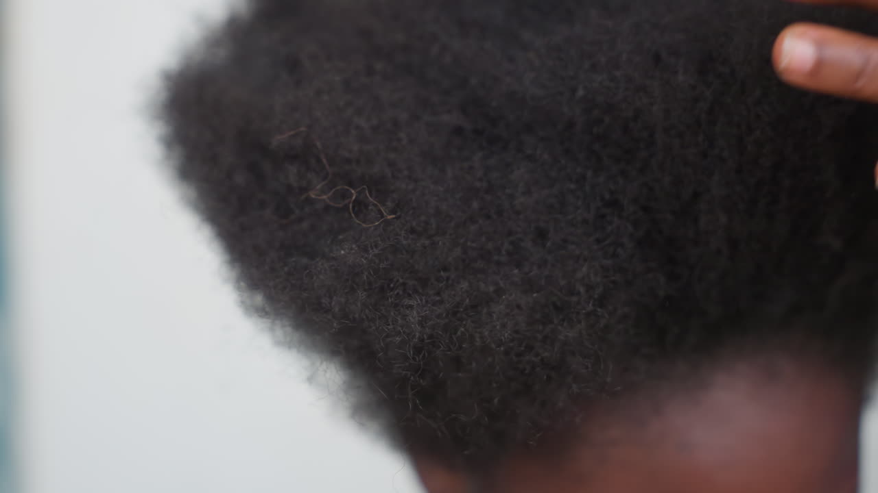 Primo piano della texture afro di un bambino di colore, dita che ispezionano la sommità e le radici, riccioli densi e lucentezza morbida, atmosfera calma da studio, focus su eredità e identità, dettaglio del ritratto che enfatizza il motivo naturale dei riccioli