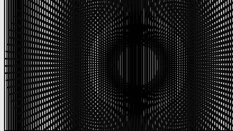 patrones de interferencia de alto contraste 05