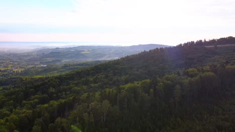 Vista-Aérea-De-Drones-Sobre-Bosques-Y-Colinas,-Tarde-Soleada,-En-Los-Cárpatos,-Ucrania