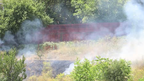 Sommerfeuer-Auf-Einer-Grünen-Wiese-Mit-Bäumen-Und-Einem-Hohen-Rostigen-Zaun