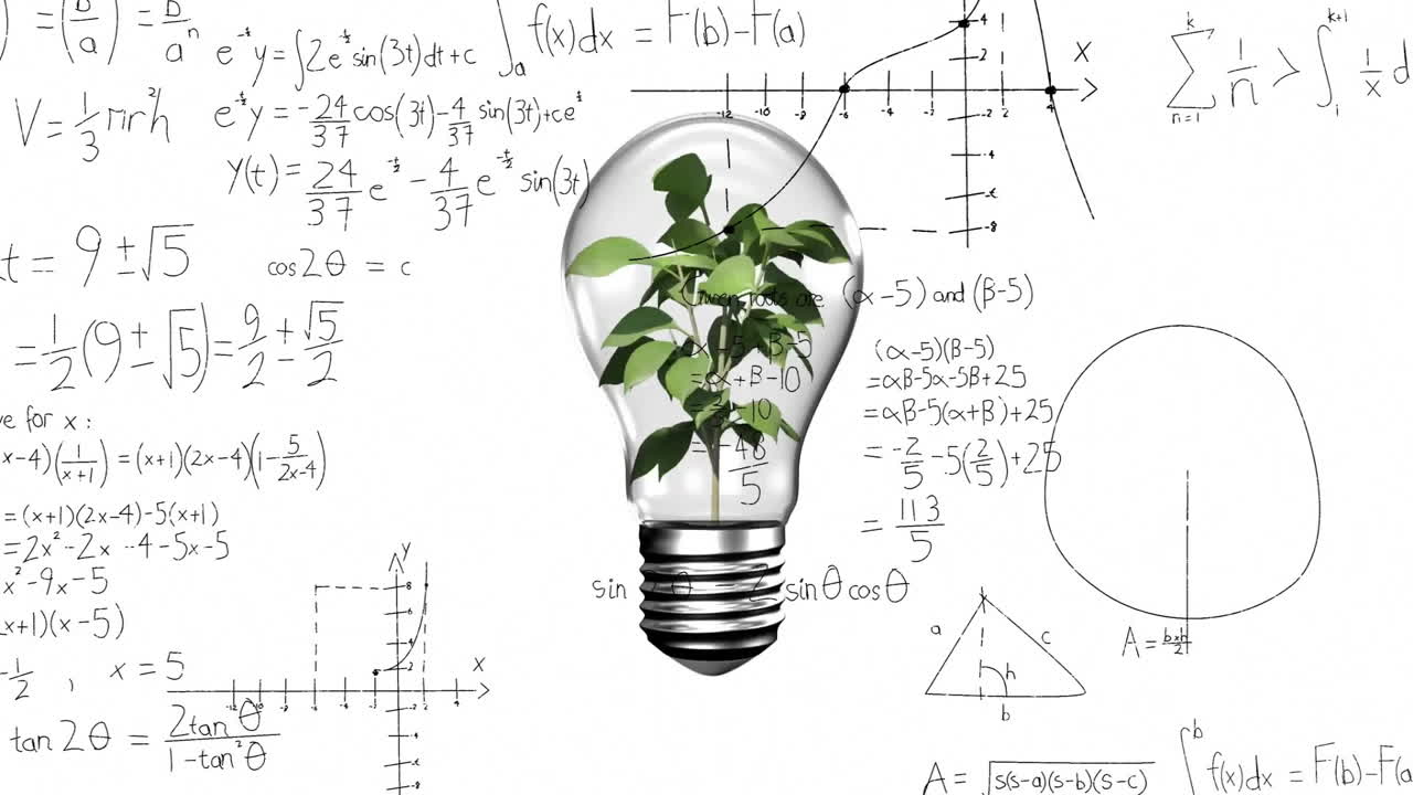 Animazione di elaborazione dati matematici su una lampadina con pianta