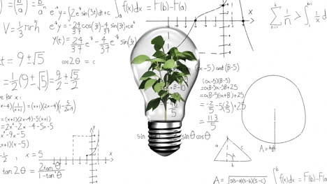 Animación-Del-Procesamiento-De-Datos-Matemáticos-Sobre-Una-Bombilla-Con-Planta