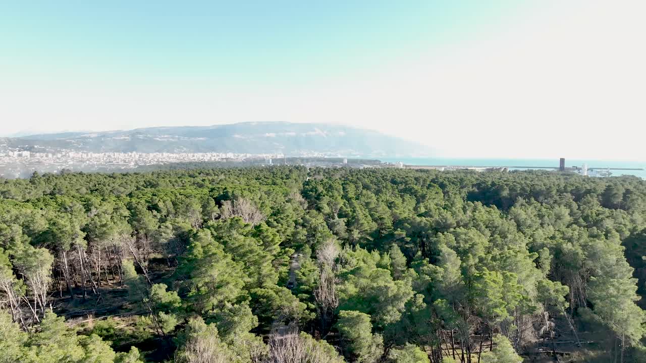 Ripresa aerea di una strada forestale che mostra la città e le montagne vicine