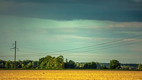 A-Time-Lapse-Shot-Of-A-Soft-Wind-Shear-And-A-View-Of-A-Golden-Crop-Field