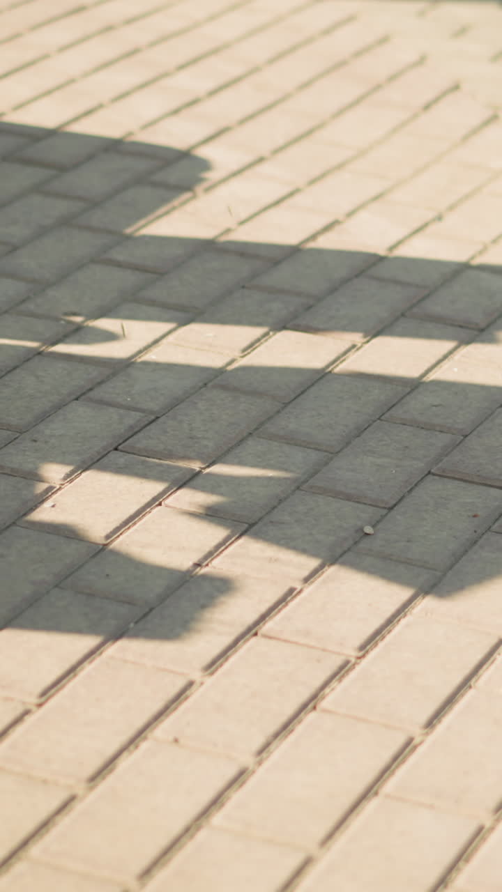 sombra de un individuo sentado en un camino entrelazado, reflejando sus movimientos, la persona está usando corredores grises y zapatos de lona blancos