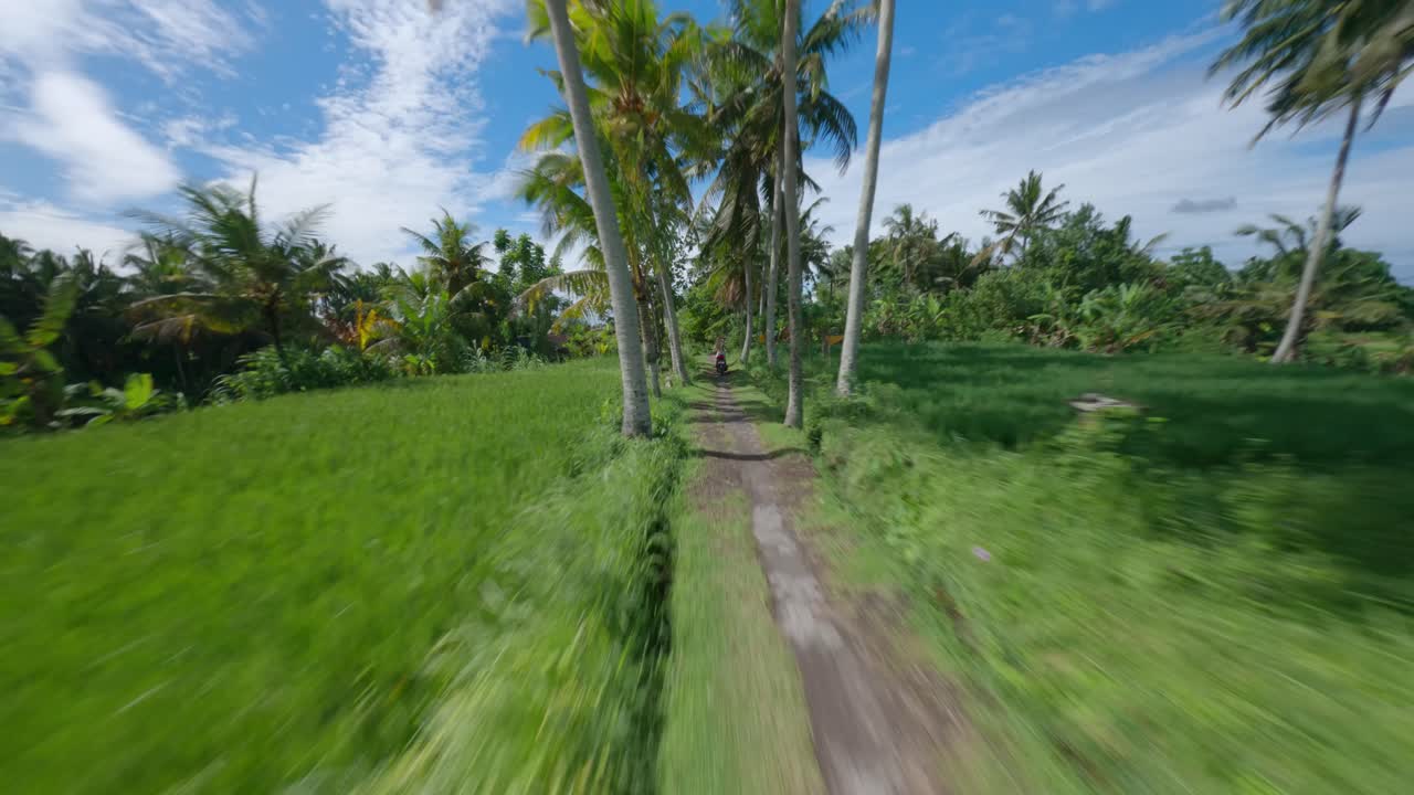 mujer rubia conduciendo una motocicleta en un camino de ripio entre palmeras en bali