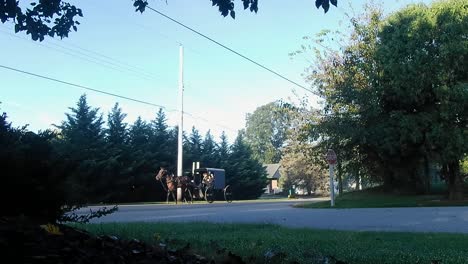 Caballo-Amish-Y-Buggy-Bajando-Por-La-Carretera