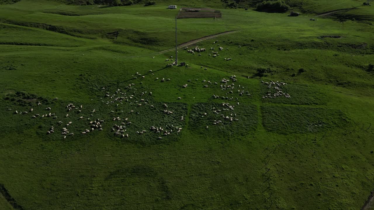 아름다운 풍경 자연 녹색 언덕