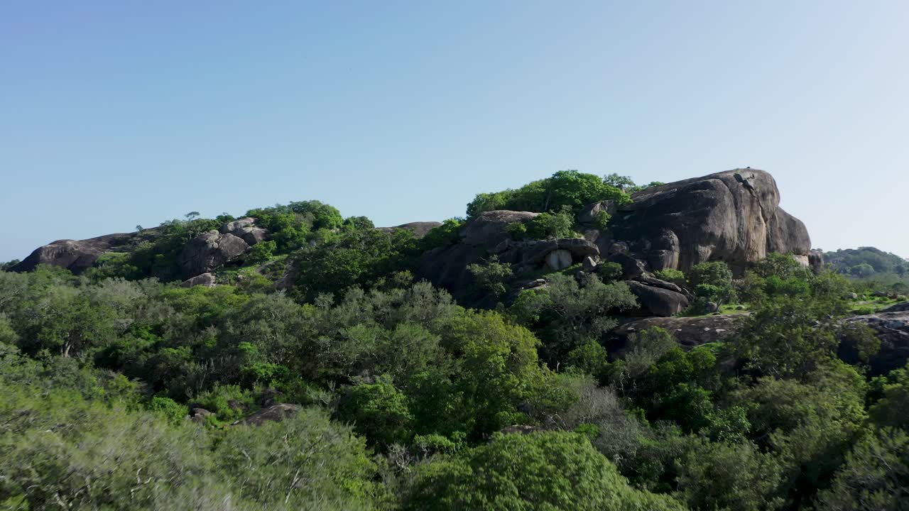 Affioramento roccioso nel Parco Nazionale di Yala nel mezzo di una giungla lussureggiante in pieno sole.