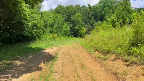 Riding-an-ATV-through-the-woods-on-farm-land