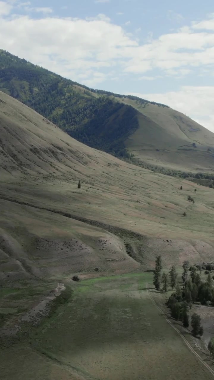 Vid udsigt over bølgende bjergskråninger med spredte taigatræer og overskyet himmel i Ak-Kem-dalen, Altai-republikken, Rusland, en fredfyldt vildmarksscene til rejse- og naturtemaer