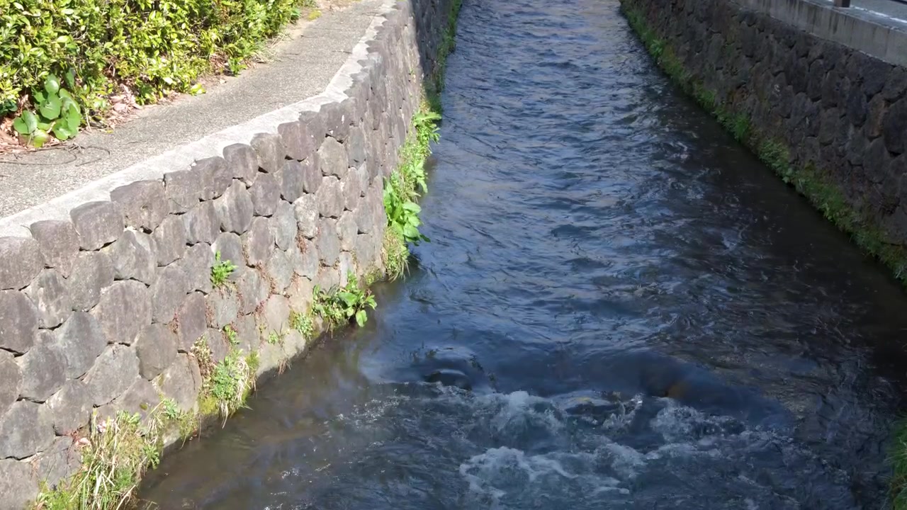 日本の金沢にある石積みの運河を水が勢いよく流れる様子を、ハイアングルショットで捉えています。