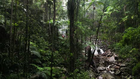 people hiking along a popular tourist walking track leading to a tropical waterfall oasis hidden deep in a lush mountain range