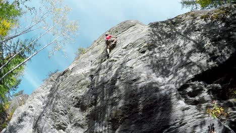 Mountaineers-rock-climbing-in-the-forest-4k