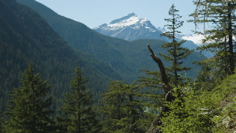 handheld shot looking at forest covered mountains with a high mountain peak in the distance