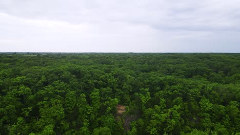 Beautiful-Ecosystem-of-Lush,-Green-Trees-in-Columbia,-Missouri-Forests---Aerial