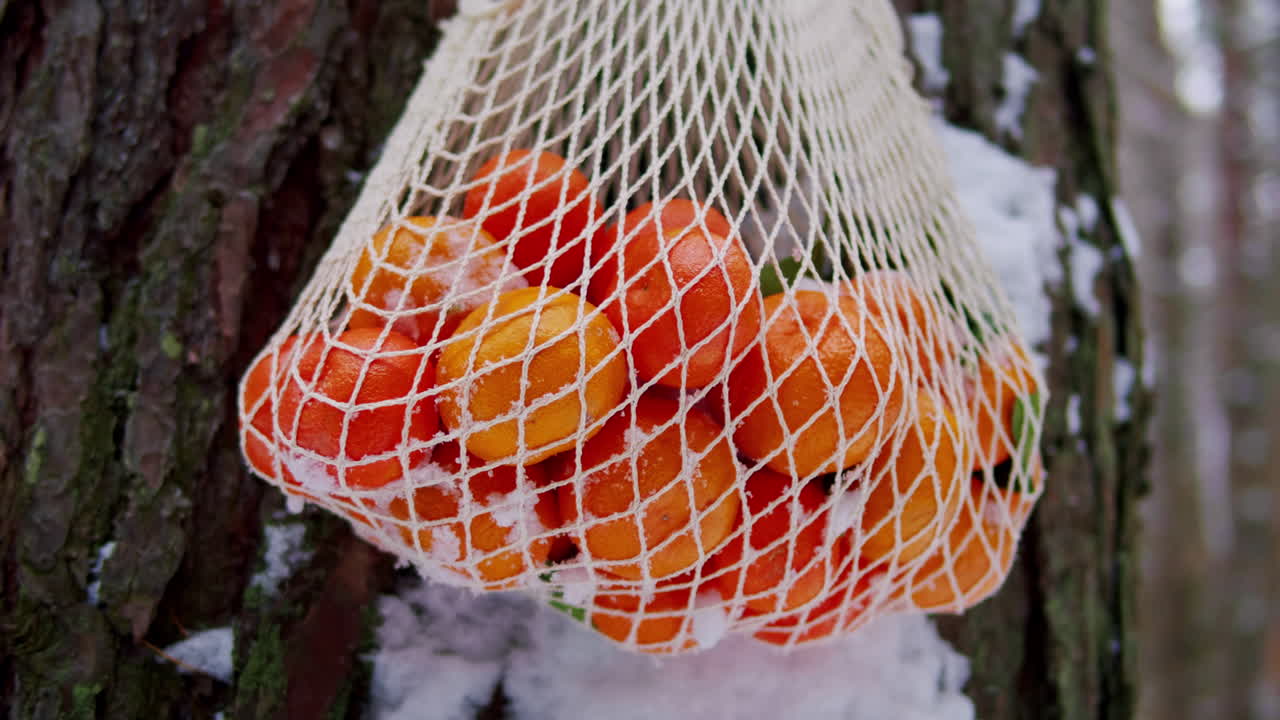 눈 인 나무 에 있는 그물 가방 에 있는 오렌지