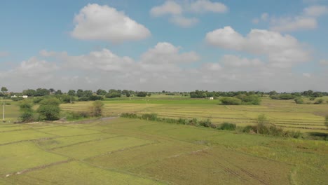 Vista-Aérea-Del-Campo-De-Arroz-En-El-Norte-De-La-India