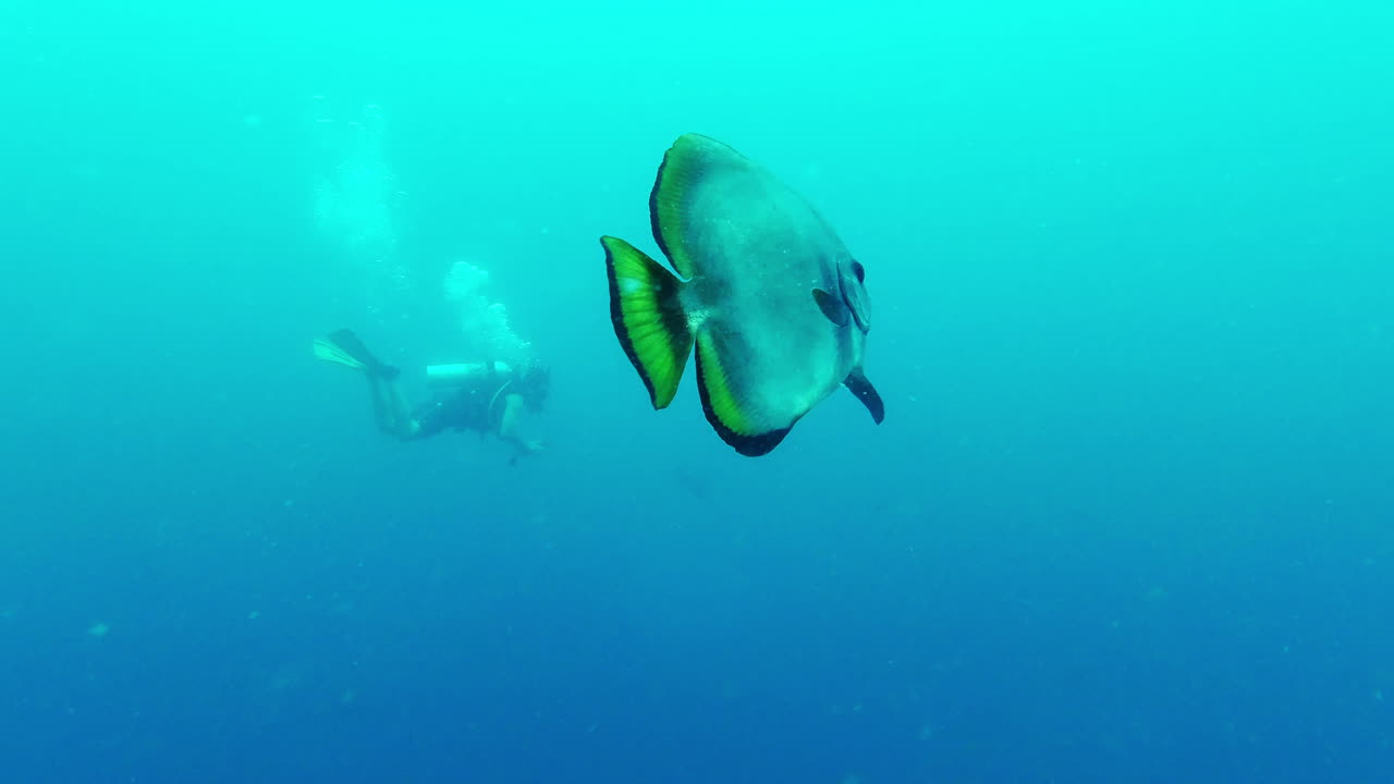 우리는 여기서 우리 자신의 속도로 움직입니다.