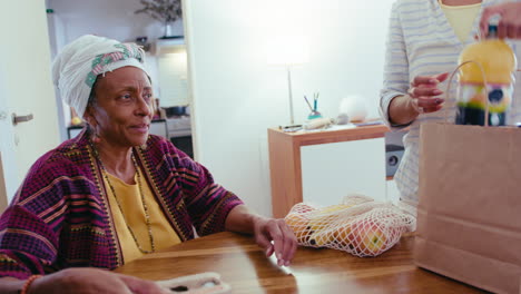 mujer joven llevando comestibles a la abuela mayor en casa
