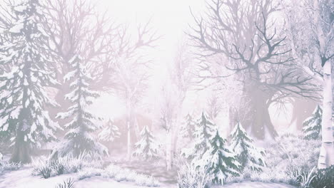 winter wonderland emerges through the fog in a serene and snowy forest