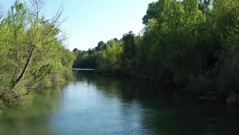 Luftaufnahme-über-Den-Fluss-Herault-Mit-Bäumen-Entlang-Saint-Jean-De-Fos,-Frankreich