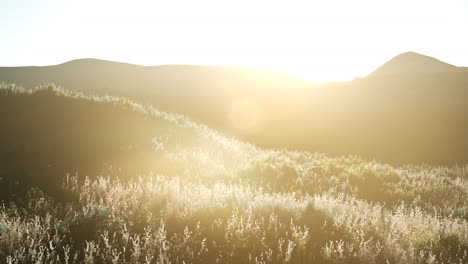 sunset over the valley fields