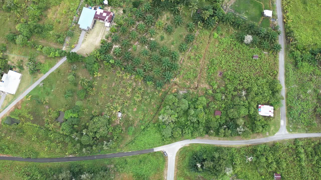 Beautiful Arieal View Of Pueh Village,Green Paddy Field Back Ground Mountain And Facing Open Sea,Kuching,Sarawak.