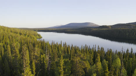 Aerial-view-going-over-a-green-forest-towards-a-big-calm-lake-with-mountains-in-the-background