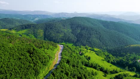 conducción de la naturaleza, panorama aéreo, conducción a través de árboles, paisajes de verano