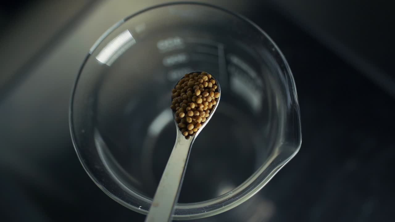 seeds are emptied into beaker. jump of seeds.1