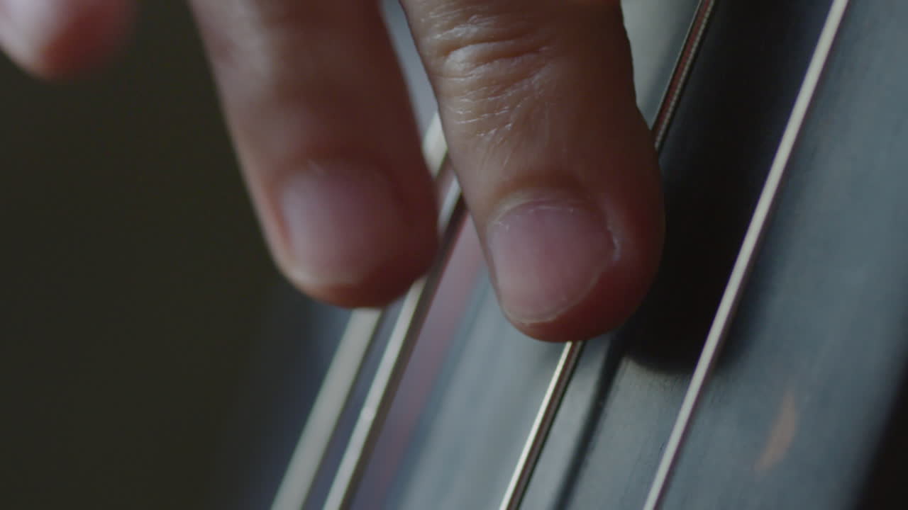 Detail Shot of Playing Double Bass