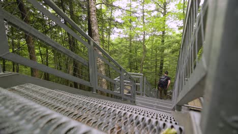 low angle shot of male hiker with backpack hurries down steep metal staircase in lush forest landscape