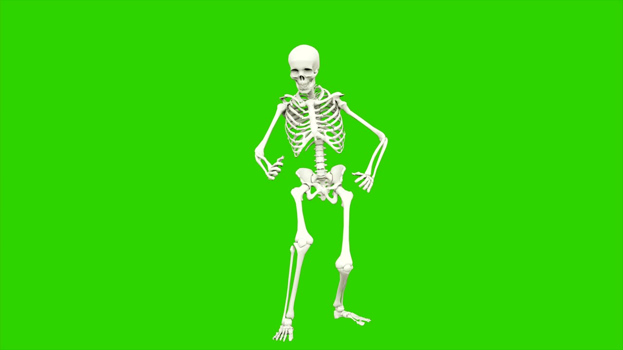 danza dello scheletro. animazione a loop senza soluzione di continuità sullo schermo verde.