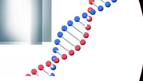 Animation-Eines-DNA-Strangs,-Der-Sich-über-Ein-Netzwerk-Von-Verbindungen-Dreht