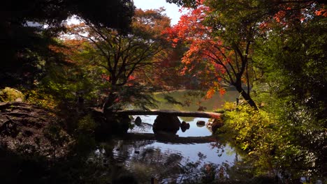 increíble paisaje cinematográfico dentro de la silueta del jardín paisajístico japonés en otoño