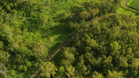 Antenne-4K-Drohne-über-Grüne-Bäume-Waldgestrüpp-Mit-Autofahrt-Durch-Unbefestigte-Straße,-Australien