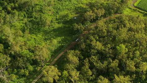 drone aéreo 4k sobre matorrales forestales de árboles verdes con coche conduciendo por camino de tierra, australia