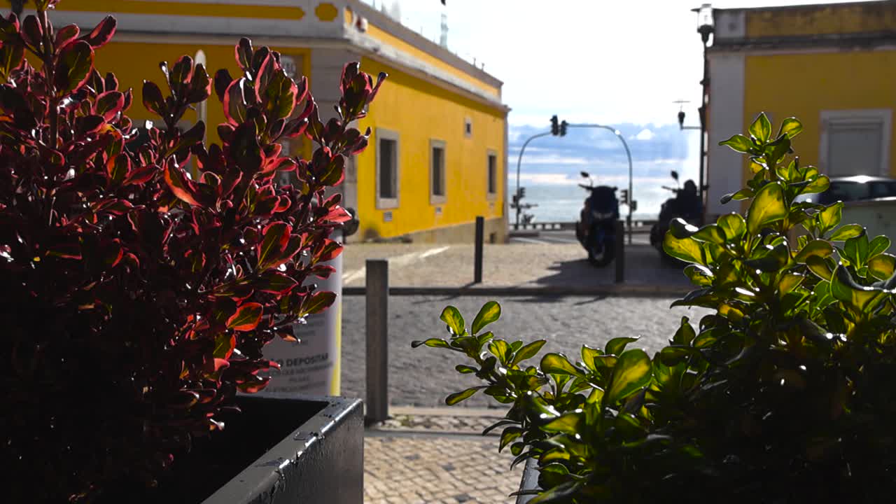 Cena ensolarada e brilhante de uma rua em Paço de Arcos com plantas coloridas em primeiro plano, uma casa costeira amarela e uma vista distante do rio Tejo