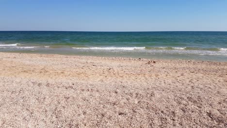 playa desierta de conchas en una isla marina