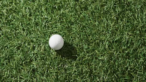 Primer-Plano-De-Una-Pelota-De-Golf-Sobre-Hierba,-Espacio-Para-Copiar,-Cámara-Lenta