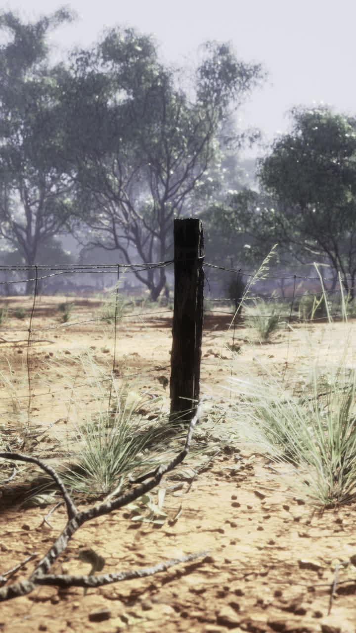 Vast australian landscape revealing rugged terrain and resilient flora