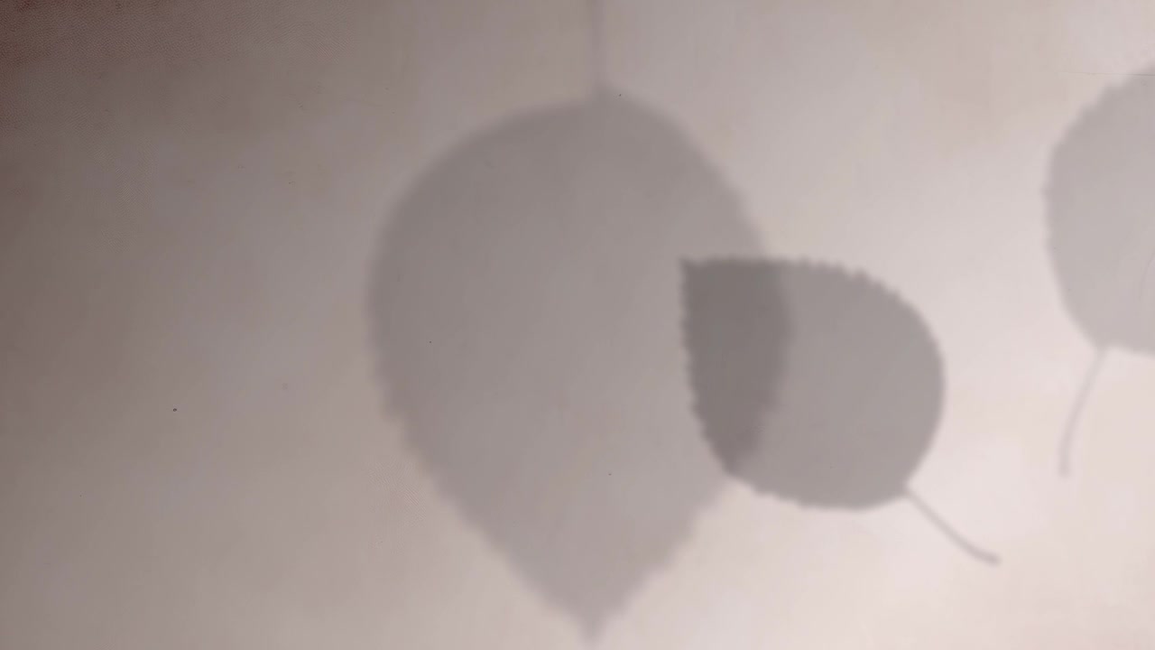 Abstract Three Leaf Shadows Moving on Soft Pink Paper Background, Minimalist Botanical Animation
