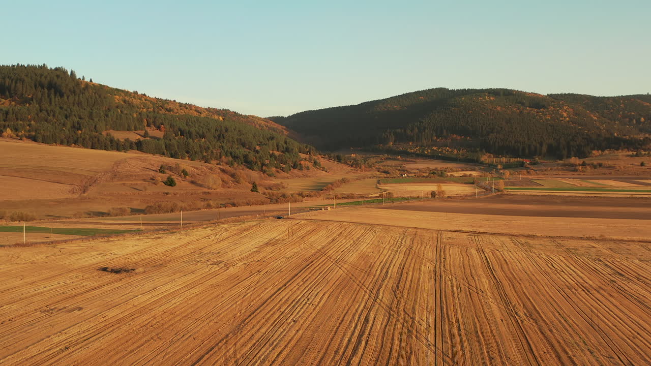 Car drives through fields of grain in beautiful valley at sunset, aerial view