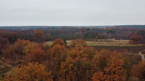 Aerial-view-over-the-farm-fields-in-between-the-forest-in-Pelt,-Belgium-