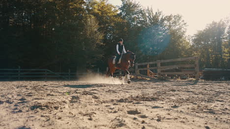 horse and rider walk in slow motion in a sand arena during sunset